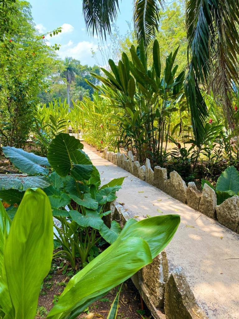Hotel Maya Bell Palenque Extérieur photo