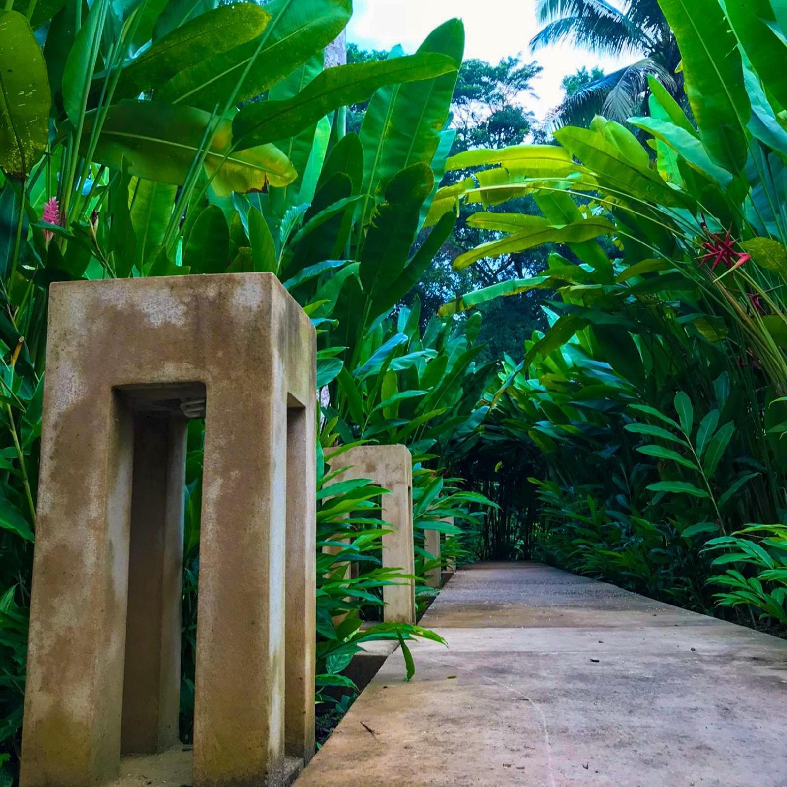 Hotel Maya Bell Palenque Extérieur photo